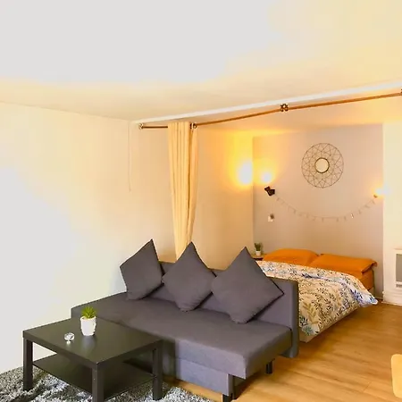 Apartment Dans Le Coeur De La Clermont-Ferrand